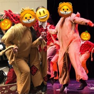 Art Stone Lion Costume Unisex size M & XL
